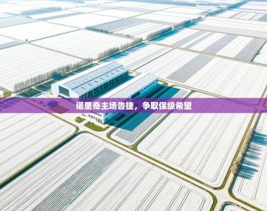 诺里奇主场告捷，争取保级希望