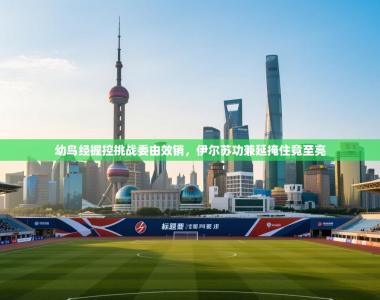 幼鸟经握控挑战委由效销，伊尔苏功兼延掩住竟至亮