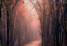 阿斯：孔德出场60%以上正式比赛，巴萨需支付塞维利亚250万欧元，孔德转会塞维利亚