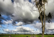 记者：纽卡告知莱比锡愿意支付超过6000万镑，在等谢什科答复，莱比锡是哪儿