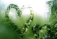 今年+2！清华大学男篮已经向CBA输送了15名球员，清华男篮cuba