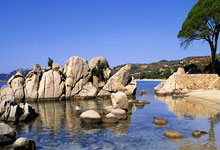 记者：纽卡告知莱比锡愿意支付超过6000万镑，在等谢什科答复，莱比锡是哪儿