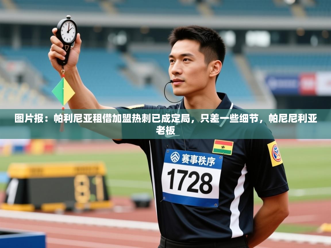 图片报:帕利尼亚租借加盟热刺已成定局,只差一些细节,帕尼尼利亚老板 第2张