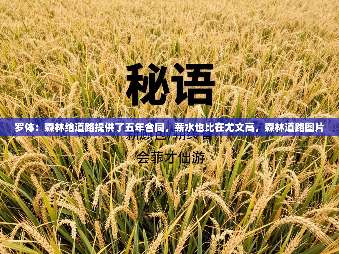 罗体：森林给道路提供了五年合同，薪水也比在尤文高，森林道路图片  第2张