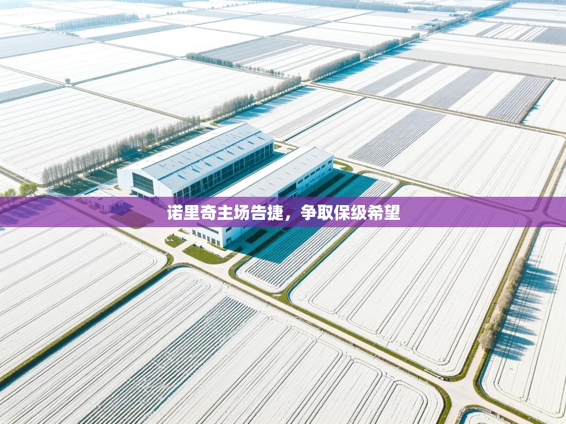 诺里奇主场告捷,争取保级希望 第1张